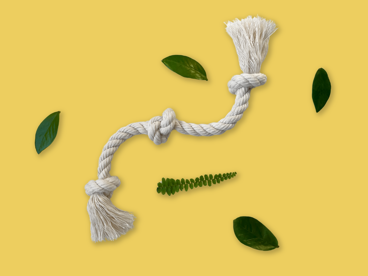 Organic Cotton Rope Dog Toy | Small & Medium Dogs