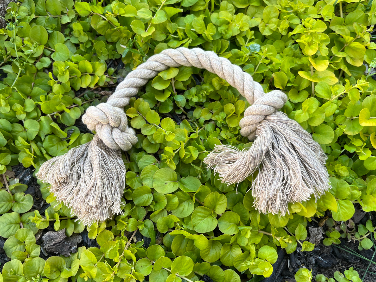Organic Hemp Rope Dog Toy | Small & Medium Dogs