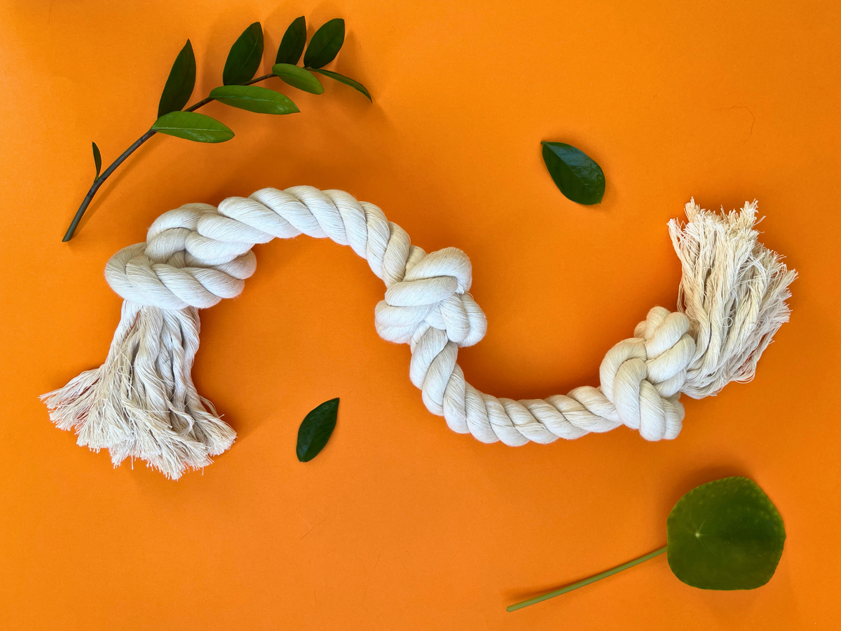 Organic Cotton Rope Dog Toy | Large Dogs – Terra Tails